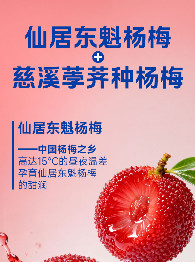 杨梅汁详情页1.25L_06.jpg